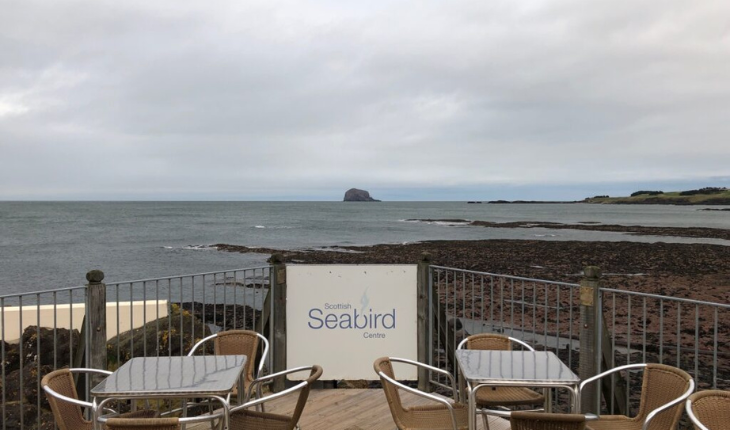 Scottish Seabird Centre