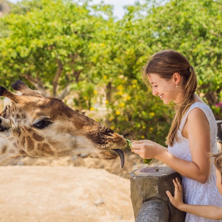 Why is Data Important to the Visitor Attraction Industry?