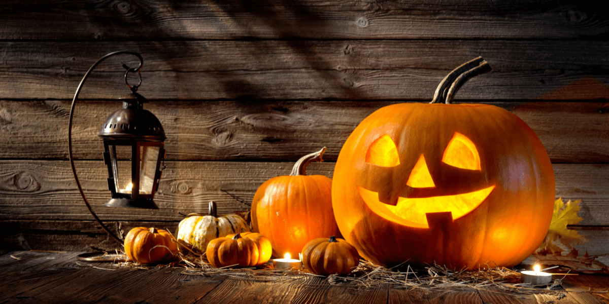 Attractions: Now is the Time To Plan For Halloween!