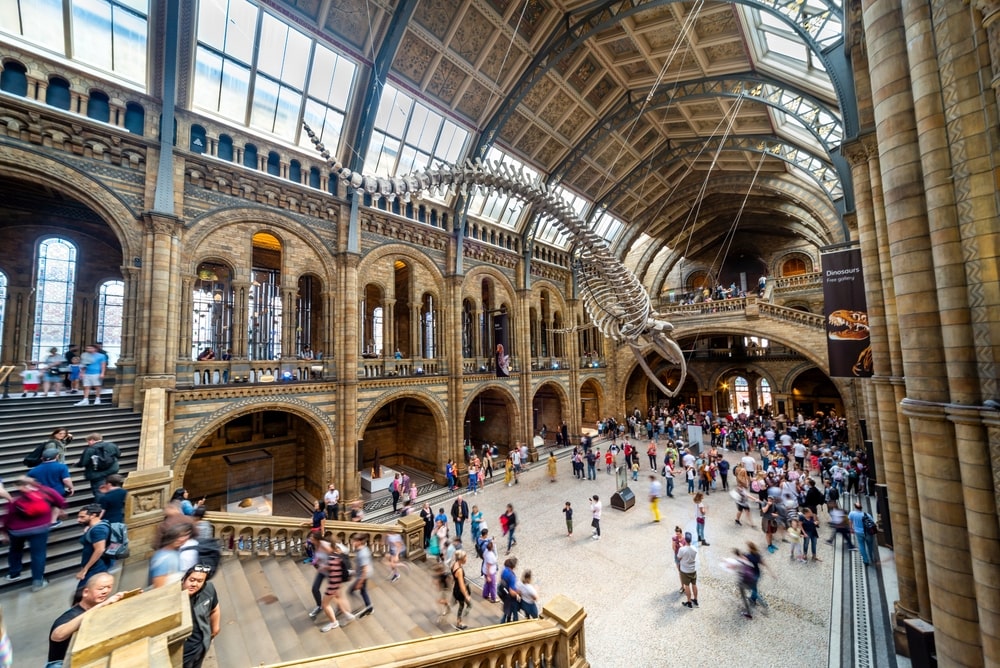 Why Your Council Needs Attraction Management Solutions